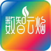 数智云烟