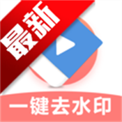 极速去水印