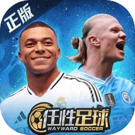 任性足球