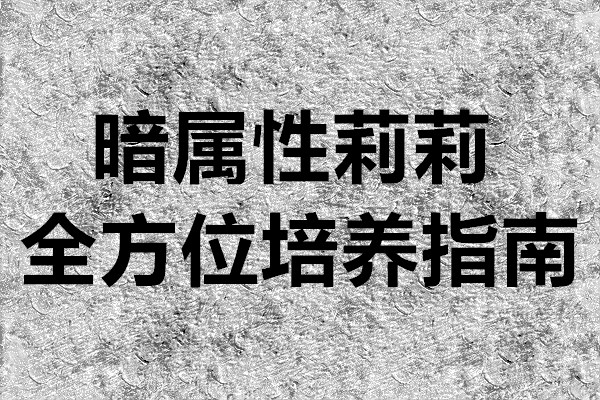 超数据世界暗属性莉莉全方位培养指南